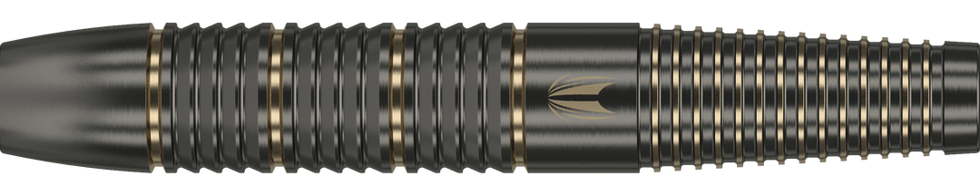 Target Raymond Van Barneveld Softdart Brass