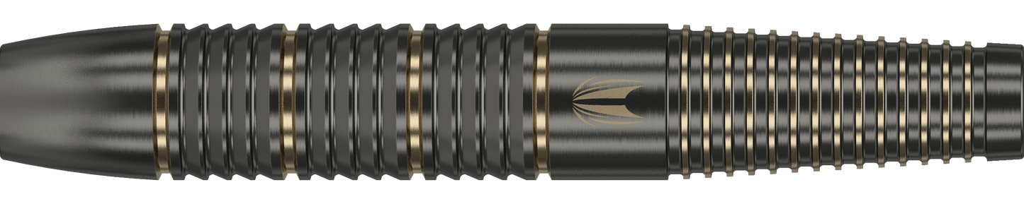 Target Raymond Van Barneveld Softdart Brass