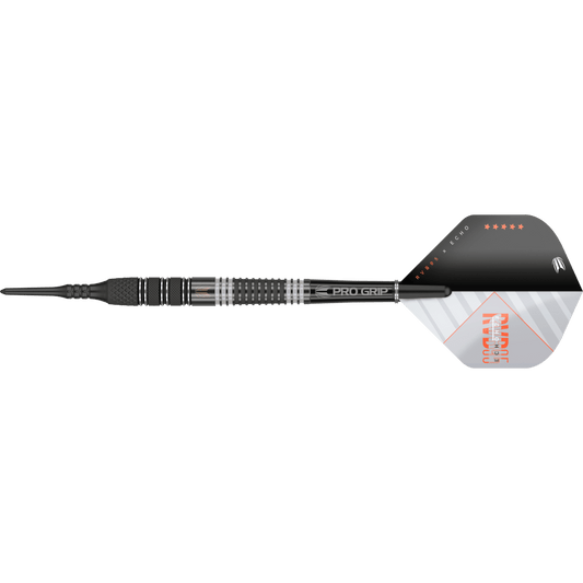 Target Raymond Van Barneveld x Echo Softdart 95%