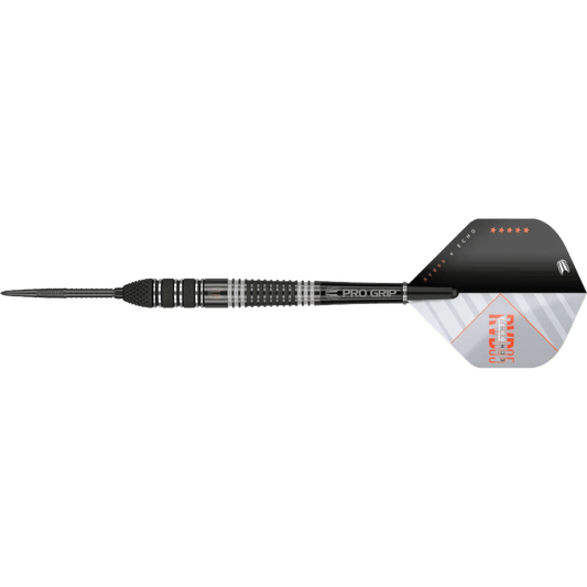 Target Raymond Van Barneveld x Echo Swiss Point Steeldart 95%