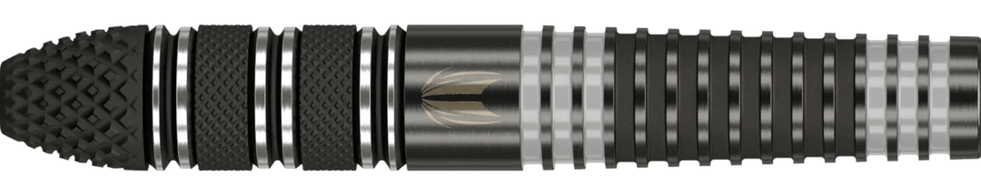 Target Raymond Van Barneveld x Echo Swiss Point Steeldart 95%