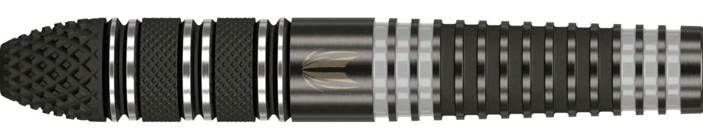 Target Raymond Van Barneveld x Echo Swiss Point Steeldart 95%