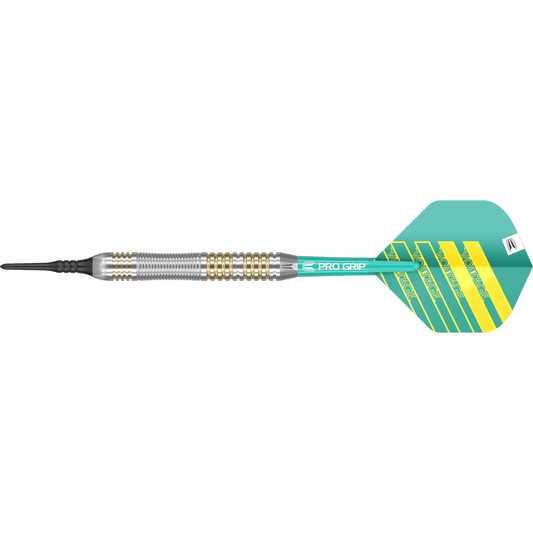Target Rob Cross Softdart Brass