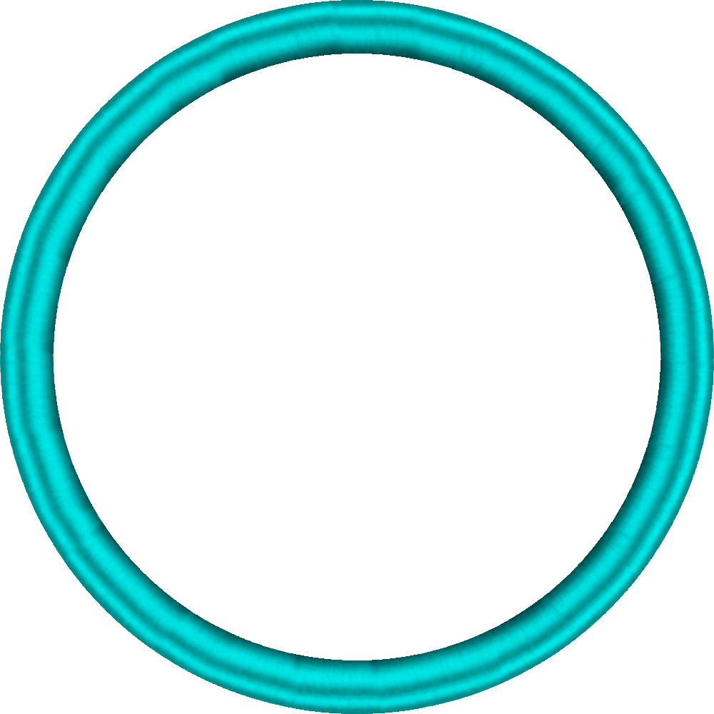 Target Slot Lock Shaft Ring