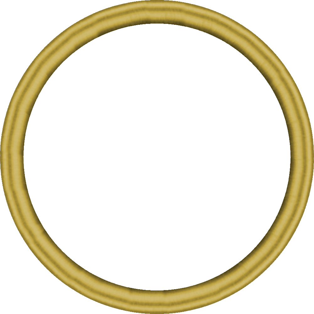 Target Slot Lock Shaft Ring