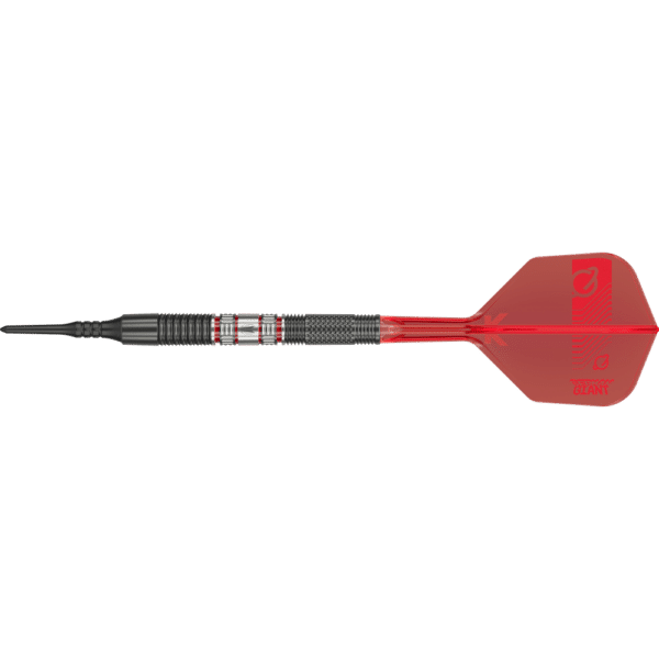 Target Gabriel Clemens 95K Softdart 95% - Seitenansicht