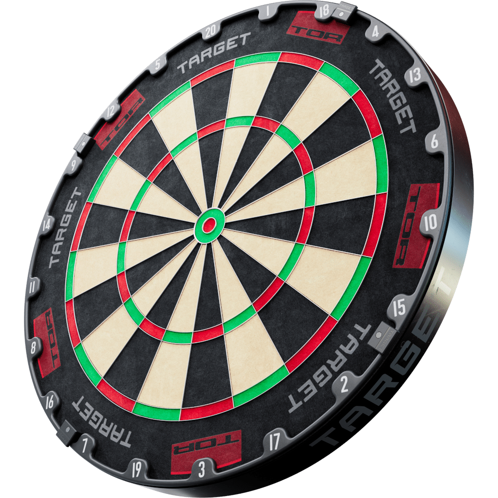 Target Tor Dartboard 2024 – Detailansicht Dynamisch