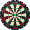 Target Tor Dartboard 2024 – Ansicht des Sisal-Dartboards